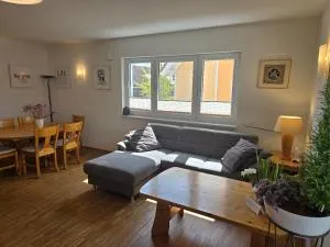 Apartment Camelia - Haßmersheim