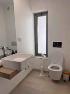 Lightoasis Oasis Mar 6