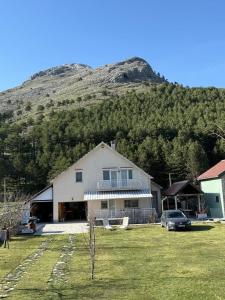 Family house on the mountain - Krstac, Njegusi