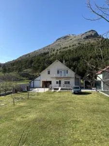 Family house on the mountain - Krstac, Njegusi - Njeguši