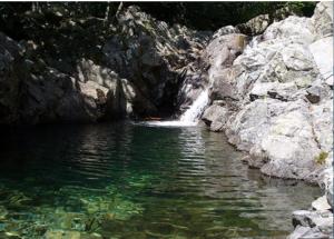 Auberges de jeunesse A Castagna : photos des chambres