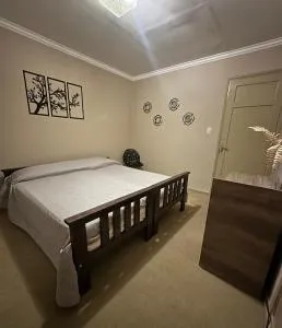 El lapacho 3 - Ciudad de Loreto