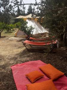 In Our Garden Sardinia - Orange Trees Glamping Tent