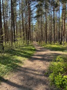 White Pearl Apartment