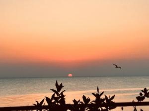 Dimora Alba sul Mare