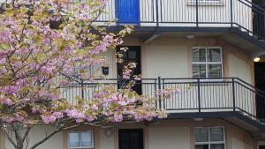 29 Marine Court Bundoran