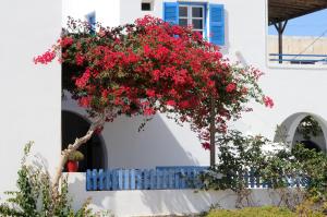 Casa Flora Antiparos Antiparos Greece