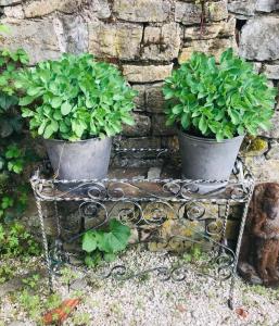 Villa Menore rural gîte in the Haute Saône