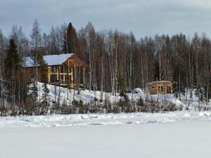 New modern log villa