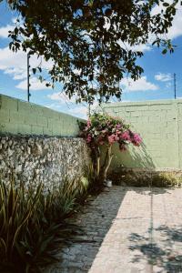 Casa Mimi - Tu refugio en Merida