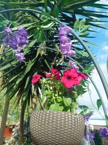 Cávado Terrace Studio