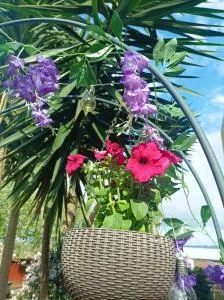 Cávado Terrace Studio - Ucha