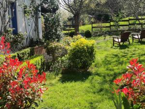 B&B / Chambres d'hotes Le Cerisier : photos des chambres