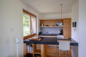 Apartment mit 1 Schlafzimmer