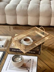 Design lake apartment