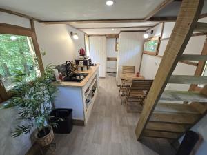 Le Coeur De La Foret