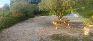 b&b binario nove e tre quarti