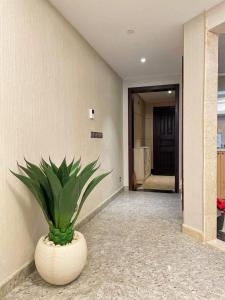 شقة فندقية علي كورنيش المعادي ريزدنت 4