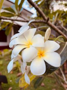Unawatuna White Villa