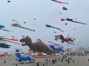 Gîte chti picard parking privé gratuit et 100m de la plage