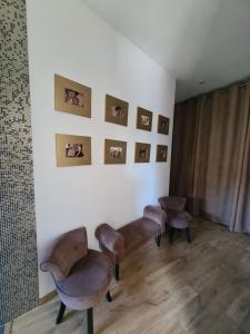Maisons de vacances L-Oasis de Coulaines - Elegance & piscine : photos des chambres