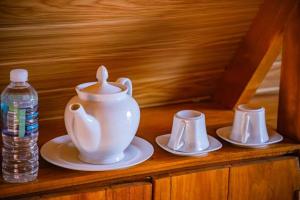 Wisdom Camping and Glamping