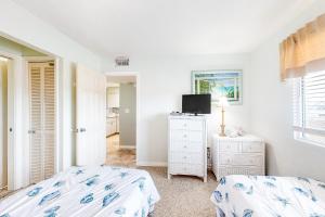 Plantation Palms #6411