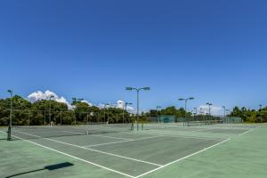 Plantation Palms #6712