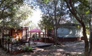 Tentes de luxe yourte de luxe contemporaine : photos des chambres