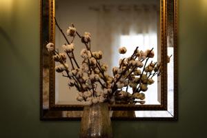 Appartements exceptional apartment with private parking : photos des chambres
