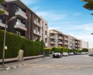 زايد ديونز الشيخ زايد