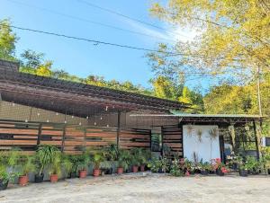 Bonjorge Homestay- Helen, Larena,Siquijor