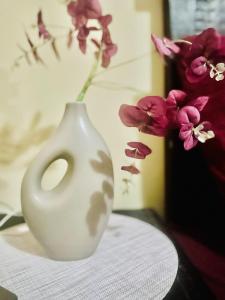 Maun self-catering unit