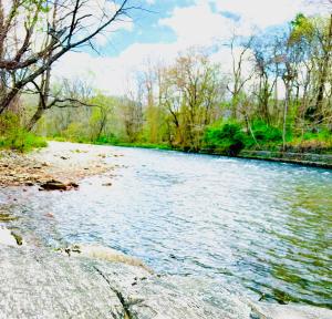 Newfound Lodge on the river