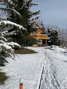 Chalets Chalet spa bath fireplace ski-in out : photos des chambres