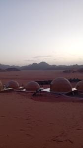 Suleman Bedouin Life Camp