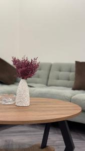 Stylish Studio in Al Aqeeq , Near Financial District