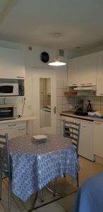 Joli studio 43 avec vue sur les Dourbes 04