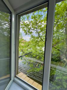 Historic Comfort Grishashvili 30