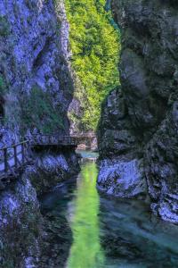 GreenRiver Apartment 