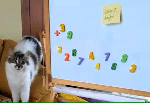 la casa di nonna piera