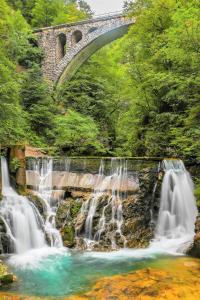 GreenRiver Apartment 