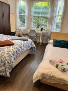 Spacious apartment - 1 fluffy dog lives on site