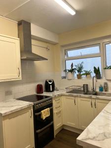 Spacious apartment - 1 fluffy dog lives on site