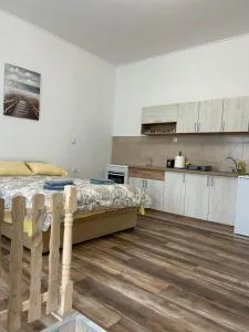 Apartman Pajić - Bač