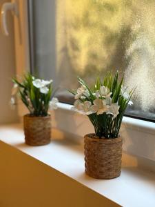 Appartements Au bord de la kirneck : photos des chambres