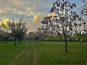 Appartements Aux Jardins fleuris : photos des chambres