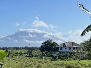 OASIS COUPLES ROOM, AC, pool , Kitchen, Wifi, Netflix, Cottage, karaoke near Naga City