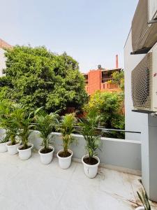 2BHK Velvet retreats
