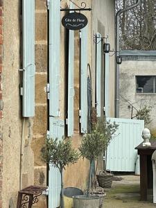 Gite de Fleur - Chateau du Grand Luçay